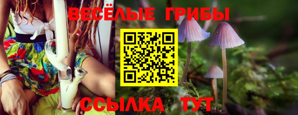 купить закладку  Псилоцибиновые грибы MAGIC MUSHROOMS  Вход с VPN  Сальск 